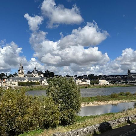 Gites Des Cygnes Vue Sur Loire Et Linge Inclus Блуа Экстерьер фото